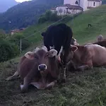 Cimmo Сasa de vacaciones
